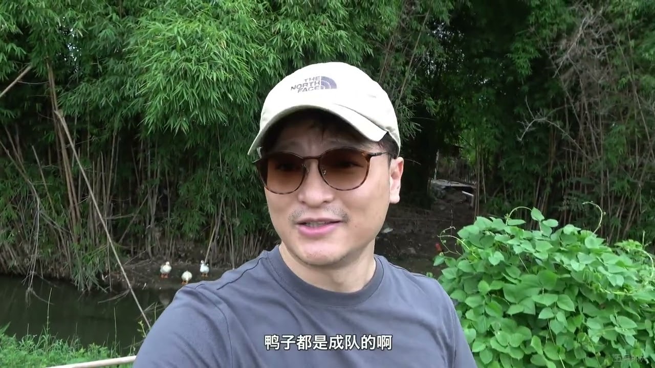 竹林盘03 | 小时候的夏天就是在竹林盘下乘凉，爷爷为我打着蒲扇，我啃着井里放凉的西瓜，悠哉游哉  #自驾游 #露营 #户外 #旅游 #探险 #竹林盘#四川 #德阳