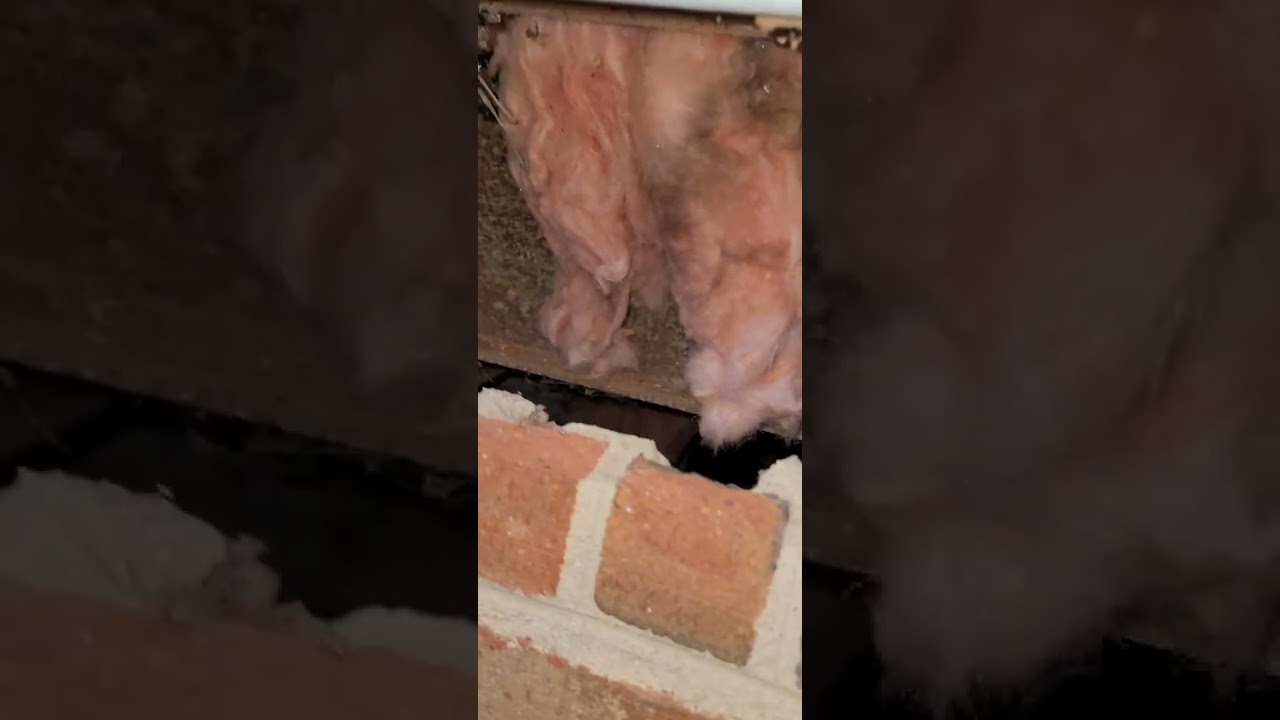 Donde encontrar el vin number de una traila doble o móvil home si no encuentras adentro