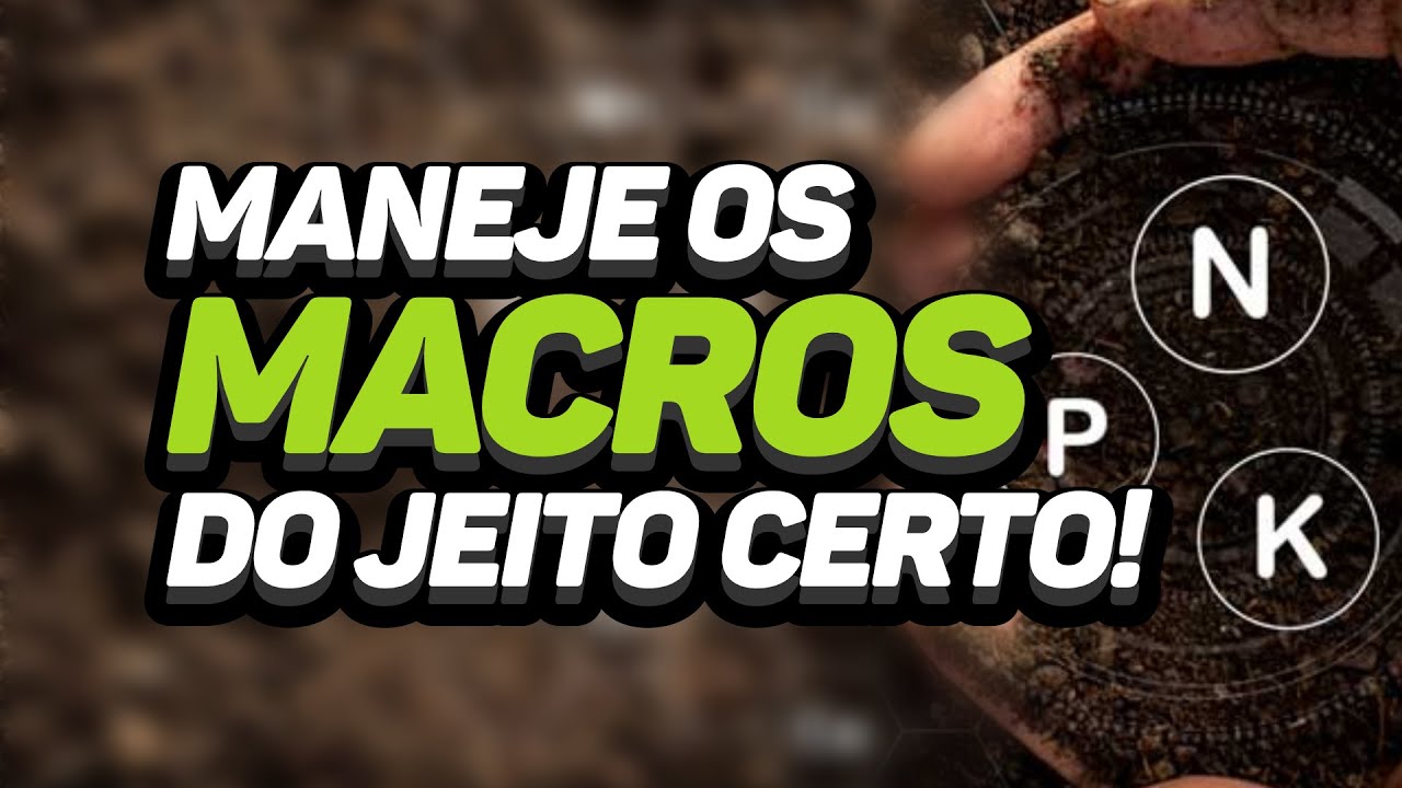 O SEGREDO DO MANEJO CORRETO DOS MACRONUTRIENTES
