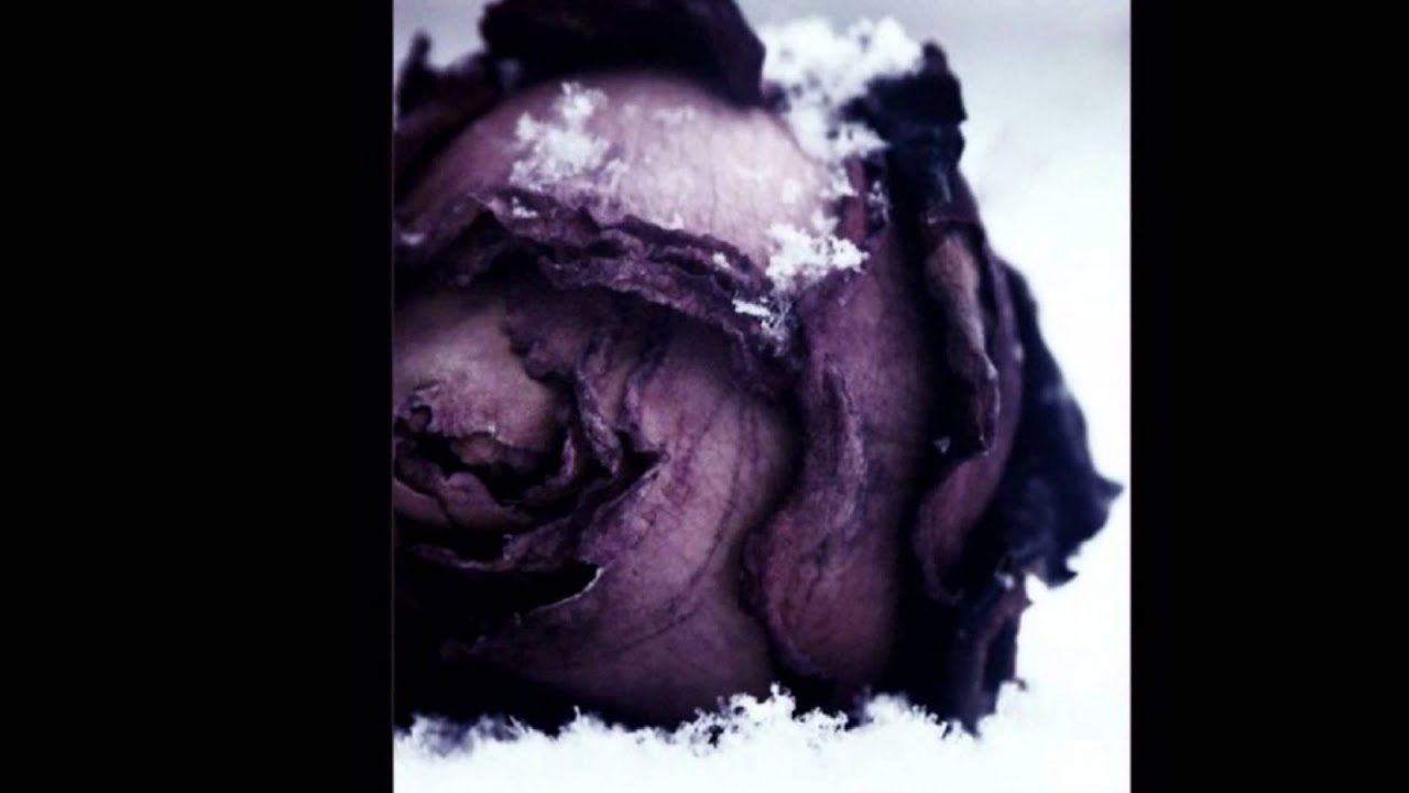 Blind Fish featuring David Hallyday - Confession