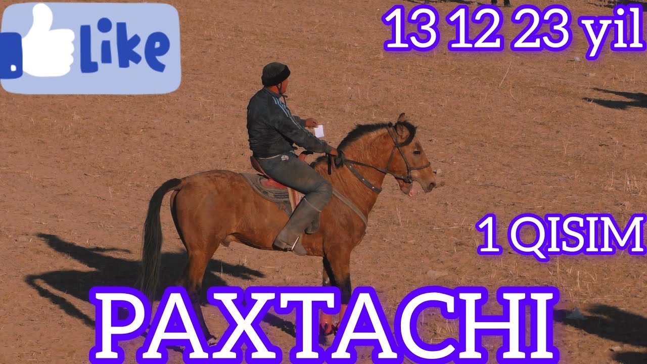 SAMARQAND PAXTACHI KÒPKARISI 13 12 23 Y 1 QISIM #samarqand #lak