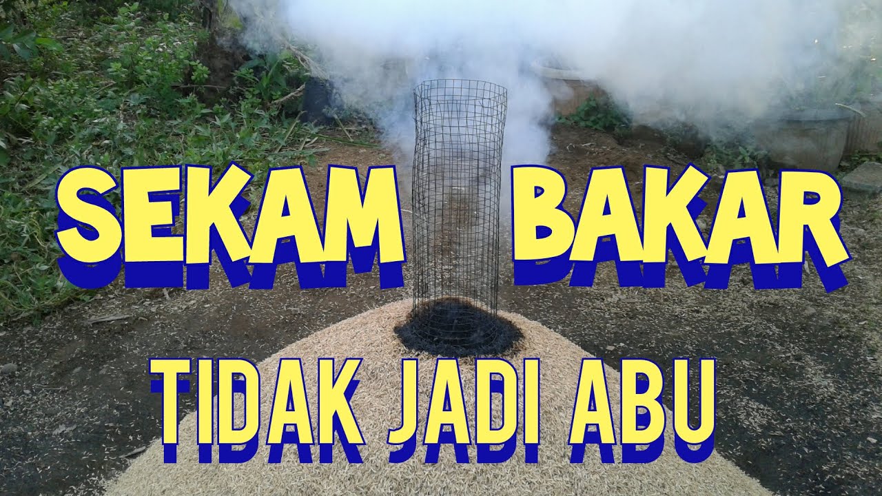 Cara Membuat Sekam Bakar / Arang Sekam Supaya Tidak Menjadi Abu