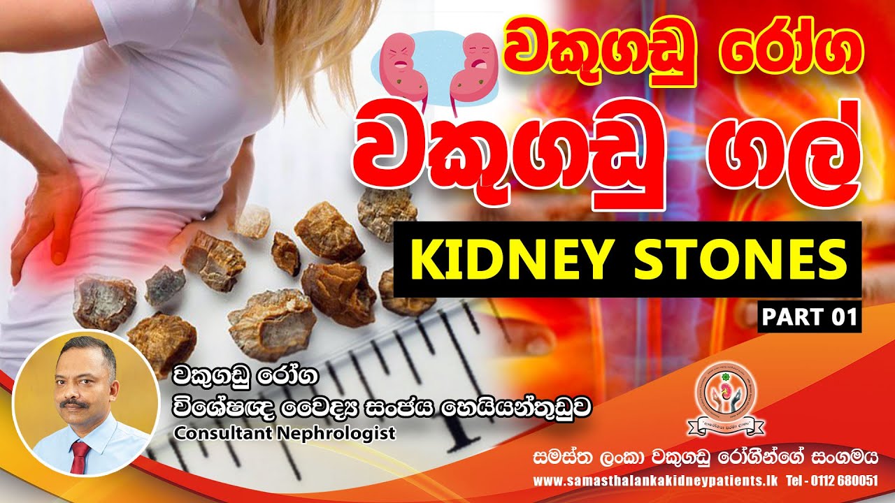 වකුගඩු රෝග - වකුගඩු ගල් (Kidney Stones)