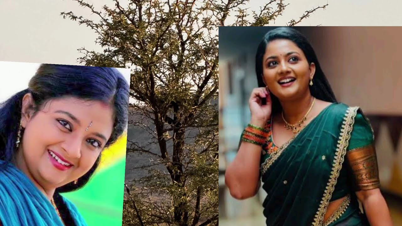 சி:ற:க:டி:க்:க ஆ:சை|11th to 12th February 2026 - Promo