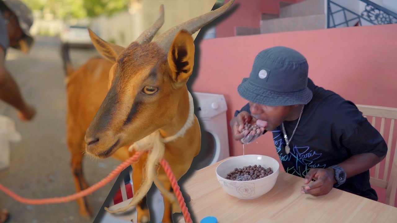 J'AI MANGER DE LA M*RDE DE CHÈVRE 🤢