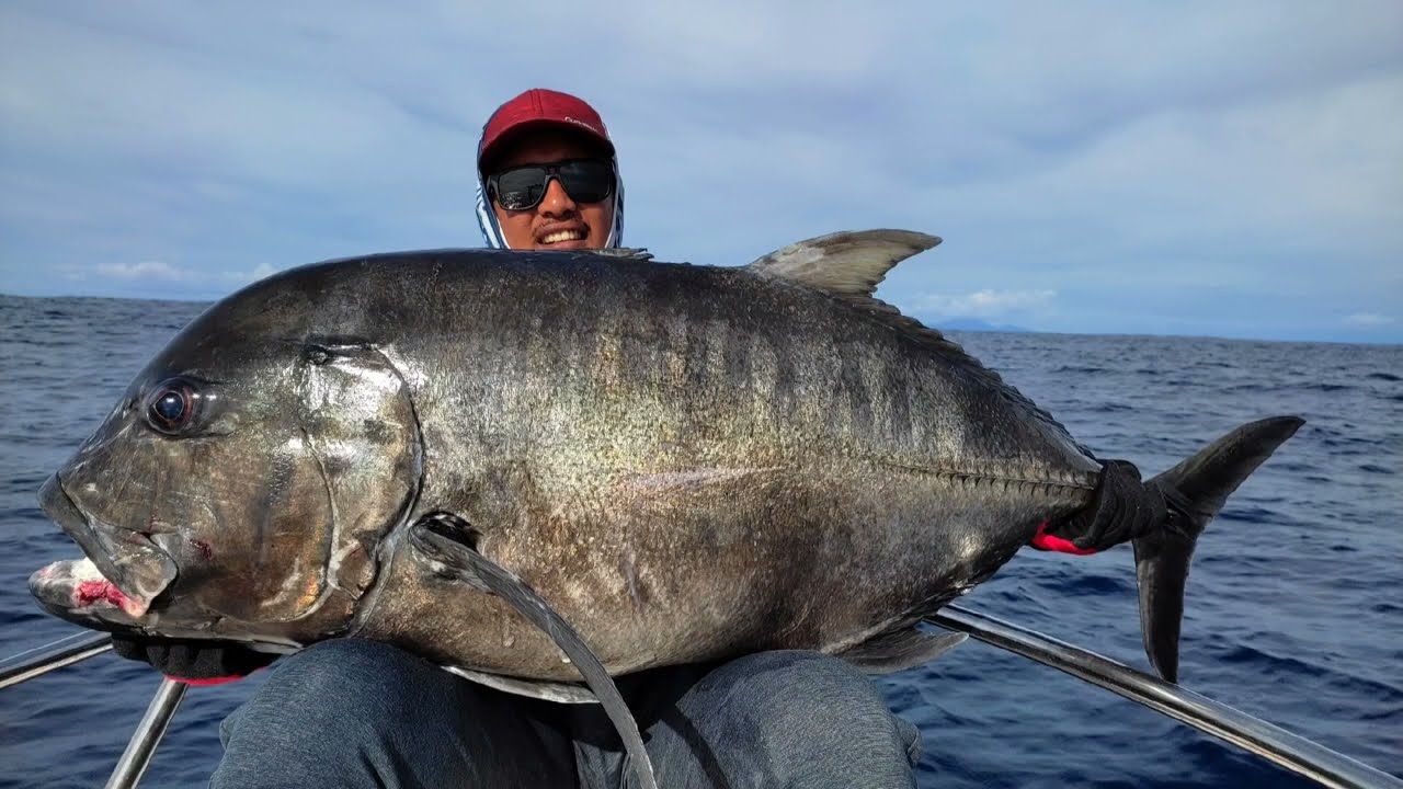 JIGGING ‼️ REEL DAIWA CERTATE 8000P MENJERIT HISTERIS (SCREAMING DRAG)