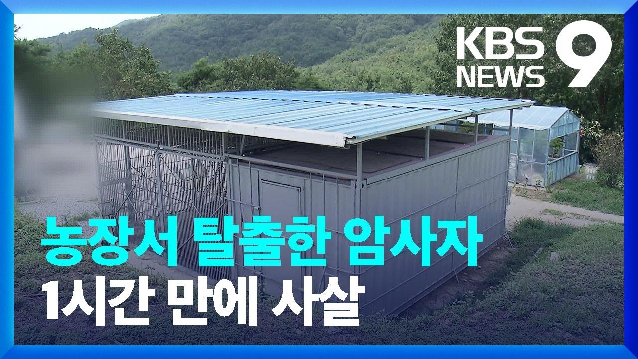 농장에서 탈출 암사자 1시간 만에 사살&hellip;&lsquo;사육금지&rsquo;법 시행 전 사고 [9시 뉴스] / KBS  2023.08.14.