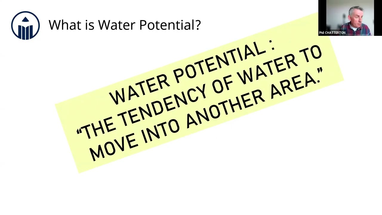 RV Study Session - Water Potential [IB Biology HL]