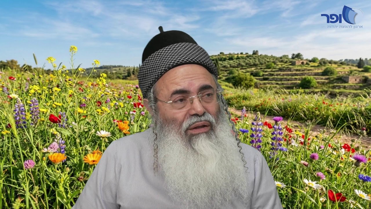 פרפראות וחדושים לפרשת כי תשא תשפ''ו - חלק ב'
