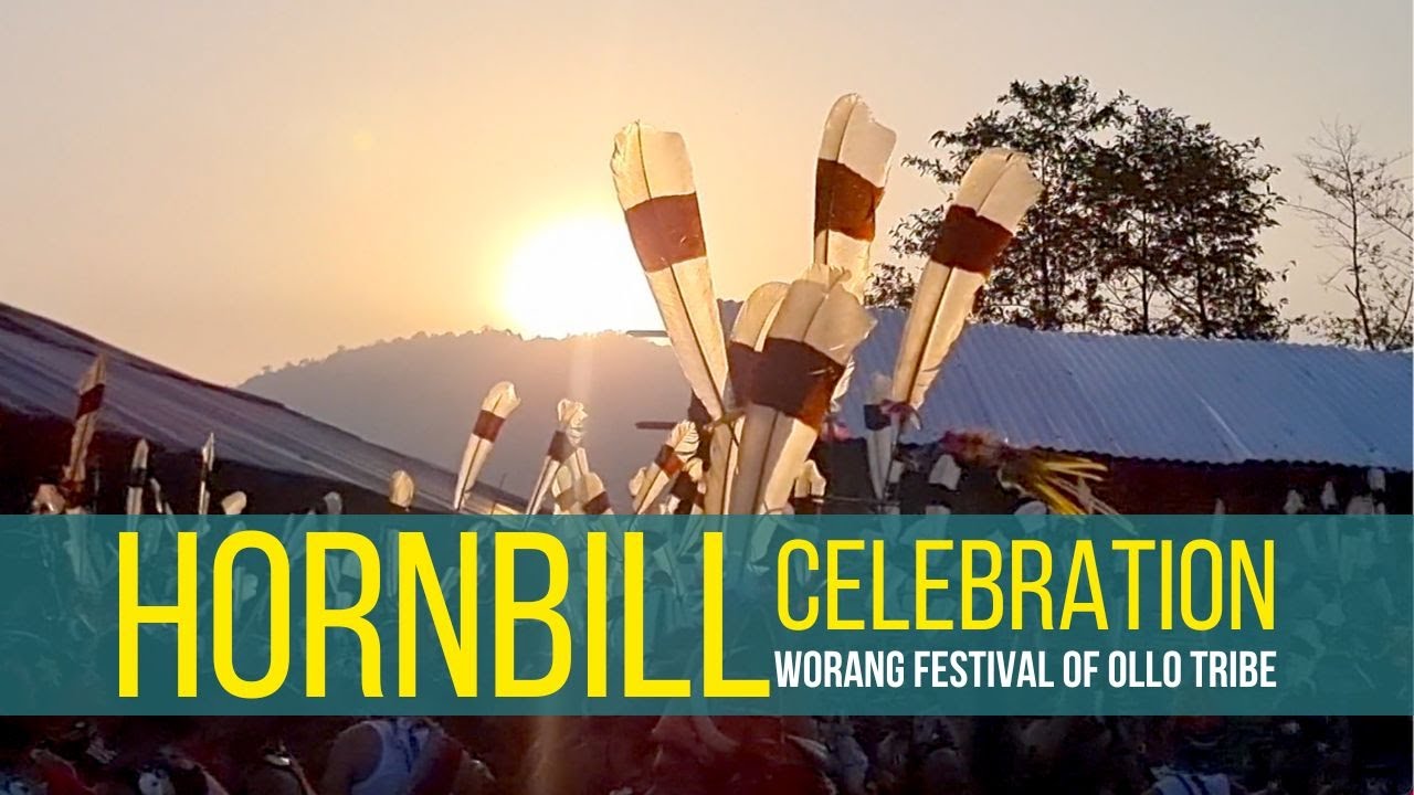 Hornbill Celebration | Worang Festival | Ollo tribe