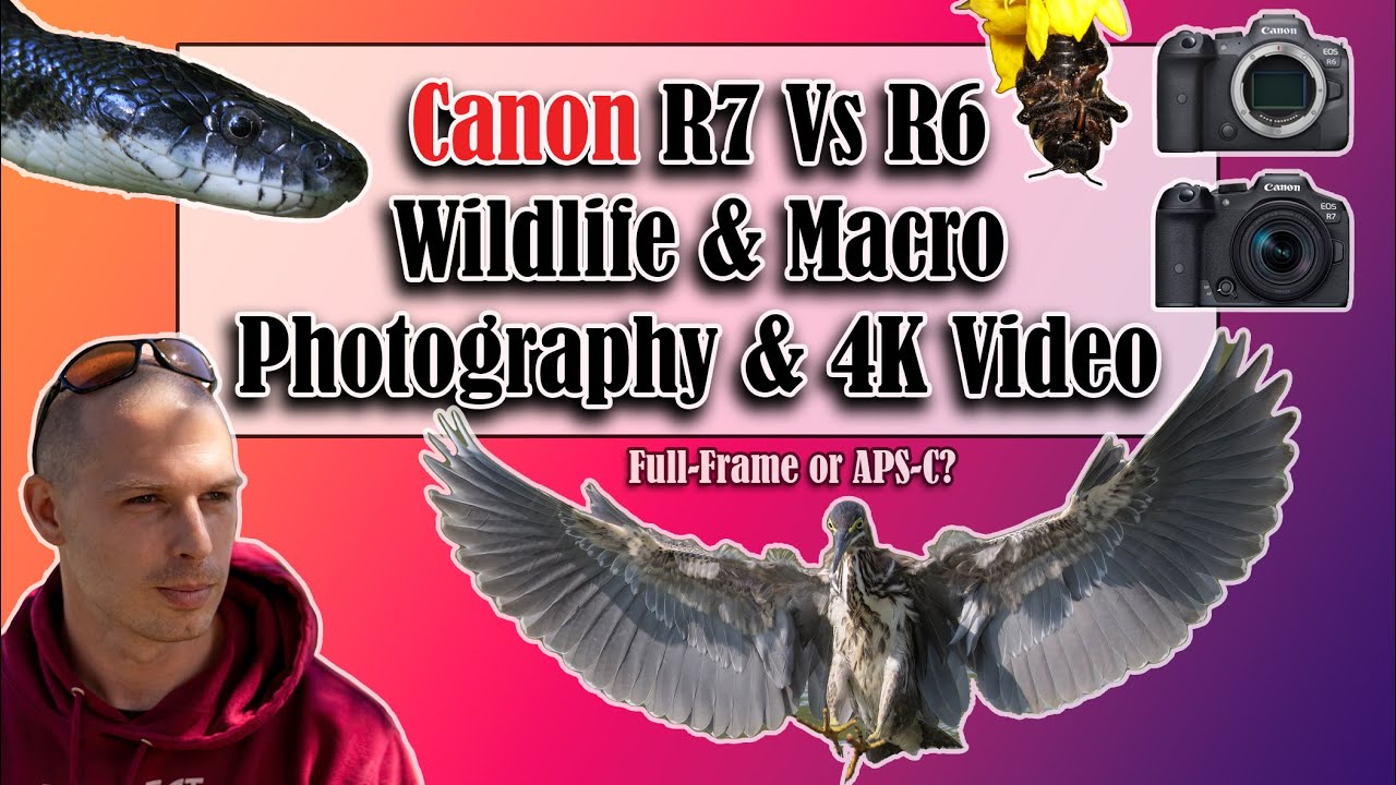 Canon R7 Vs R6 Wildlife & Macro Photography & 4K Video | Full-Frame or APS-C?