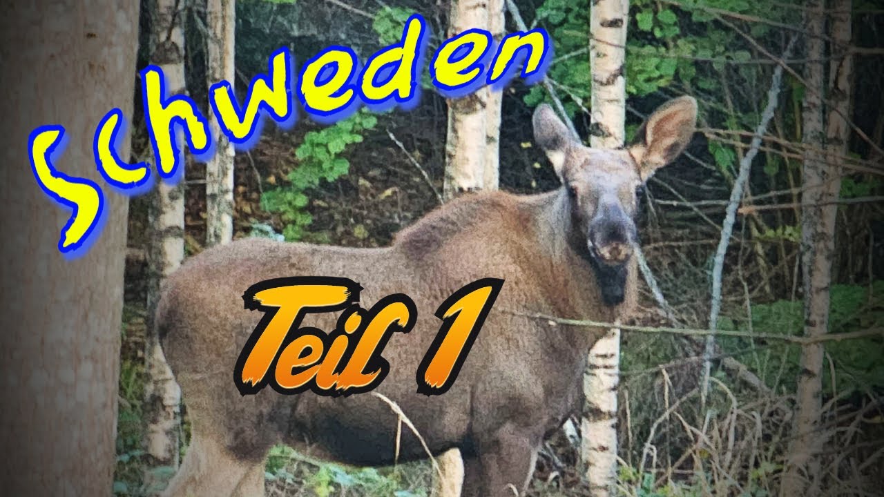 Schweden im Oktober - Värmlands län - Eda - Teil 1 - Fähre und Ankunft am Mökki
