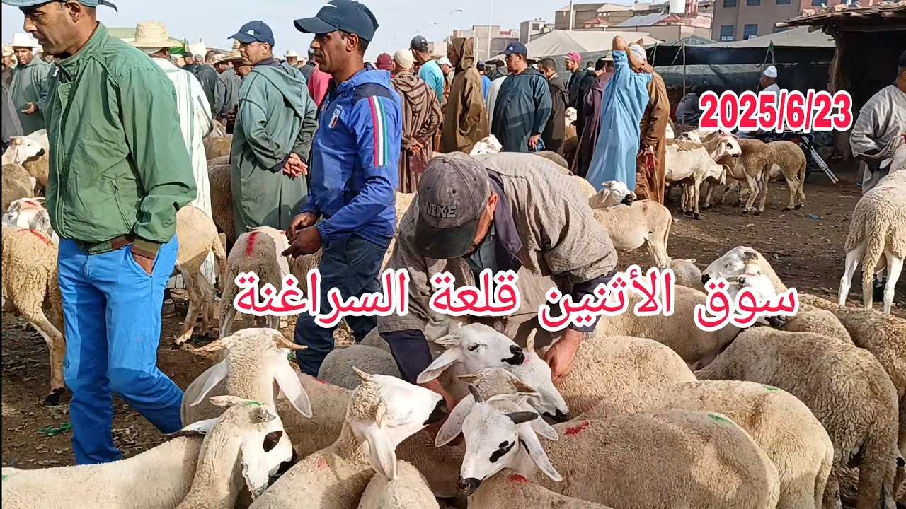 مباشره من سوق الأثنين قلعة السراغنة بتاريخ 2025/6/23 مع أتمنة خروف وخروفة وحولي 🐏🐑🇲🇦