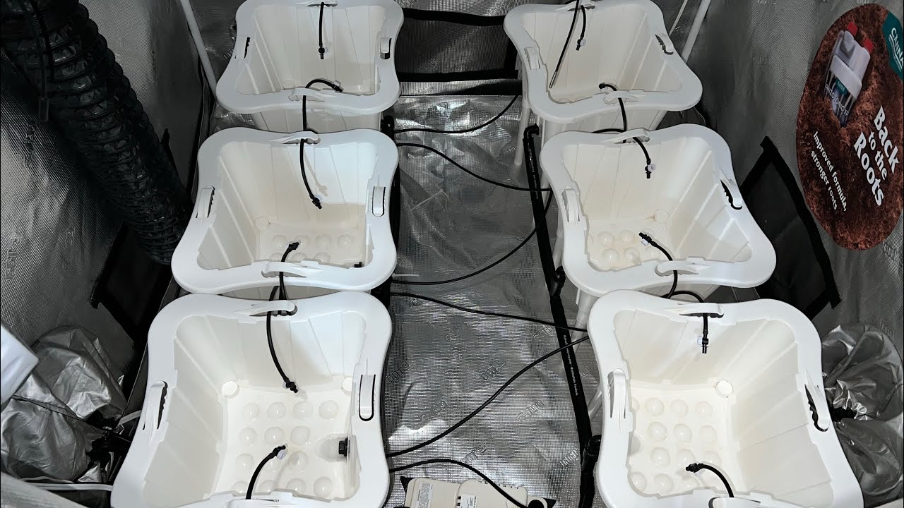 The Bucket Company 3 Gallon, 6 Pot Setup. Review & What&rsquo;s Needed For This Setup