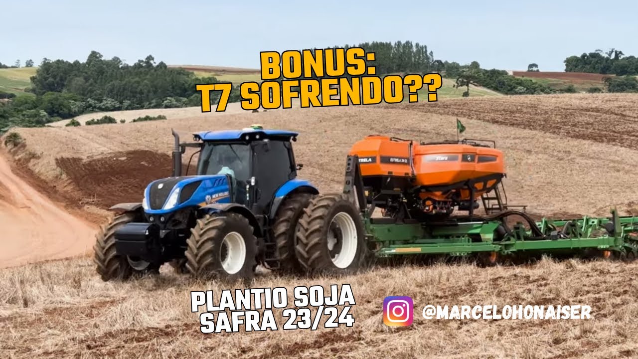 PLANTIO NO 12!!! Bônus Estrela new🤩