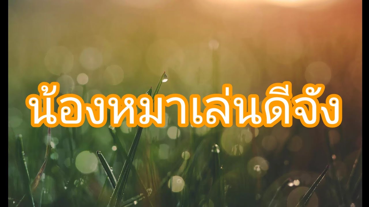 ฉันมีน้องหมามาเติมเต็ม,เรื่องเล่า,เรื่องสั้น,นิยายเสียง,จบในตอน