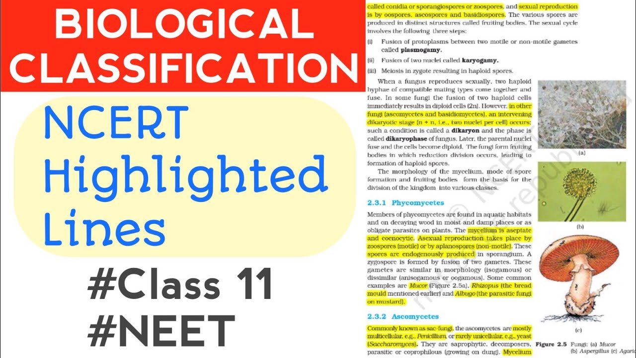 Biological Classification Class 11 ncert Highlights #neet