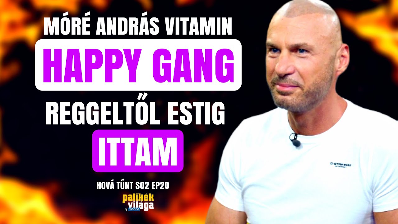 A HAPPY GANG ALAPÍTÓJA, VITAMIN: REGGELTŐL ESTIG ITTAM / Hová tűnt? / Palikék Világa by Manna