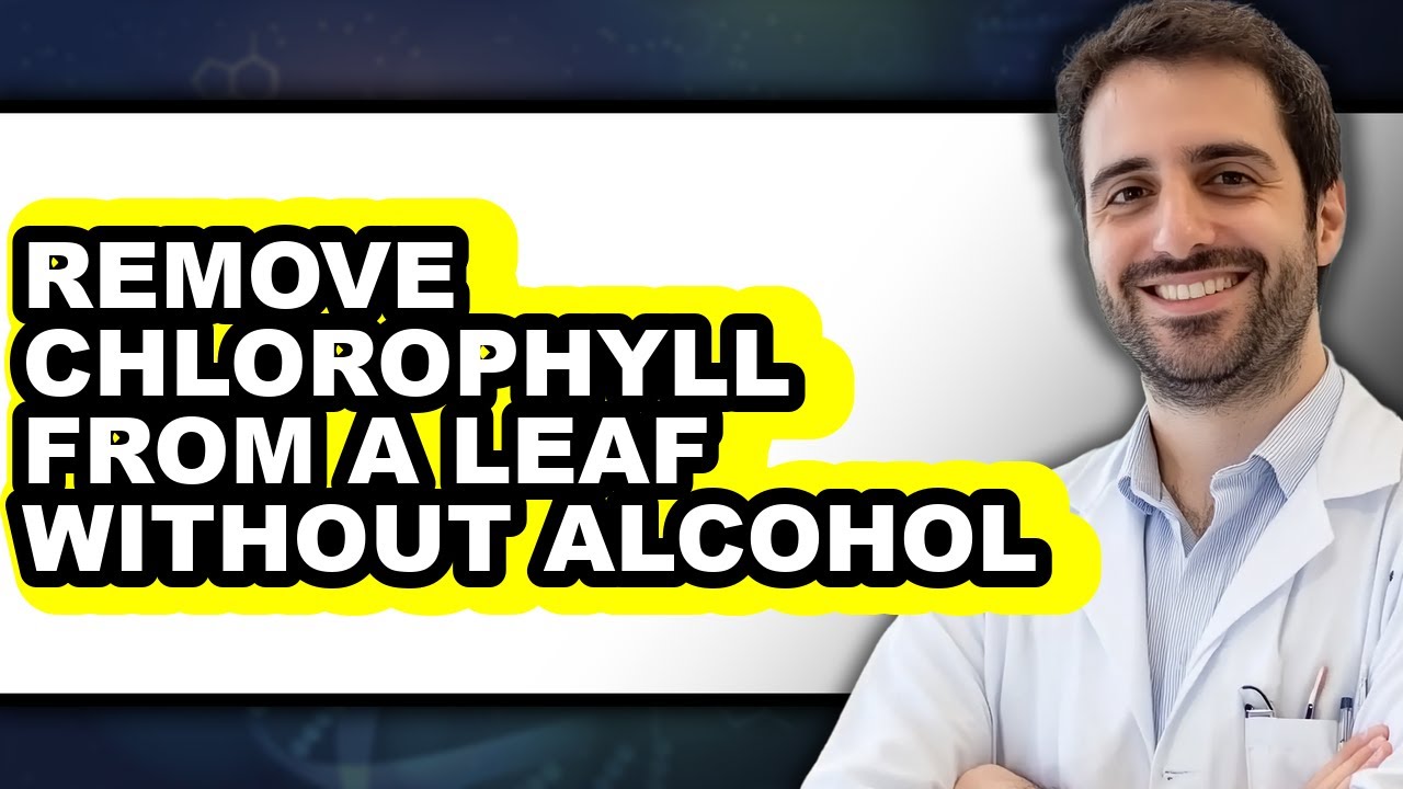 How to Remove Chlorophyll from a Leaf Without Alcohol (Full Guide)