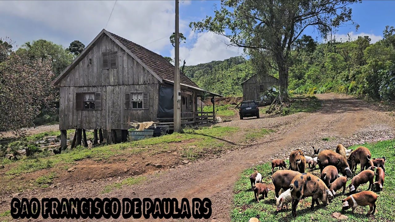 CASAL GANHOU A CASA ABANDONADA E FOI MORAR COM MUITOS ANIMAIS 