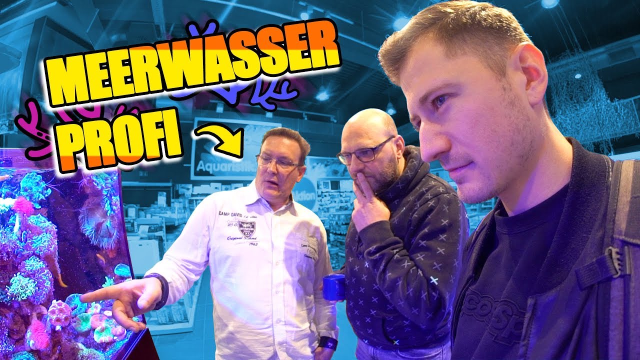 Profi erkl&auml;rt uns Meerwasser Aquaristik! 😯