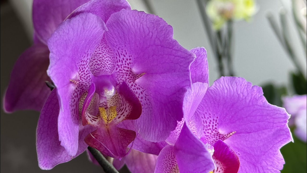 Подростки🦋цветут💫