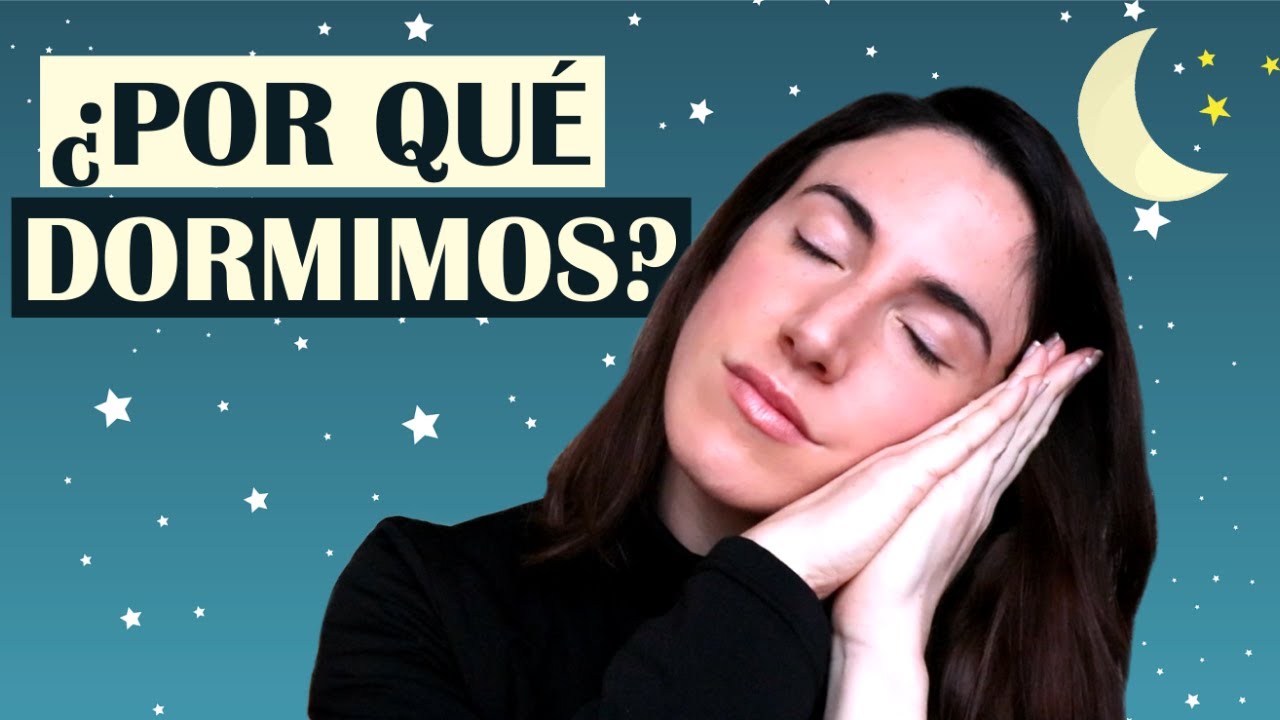 ¿Por qué dormimos? 3 funciones del sueño