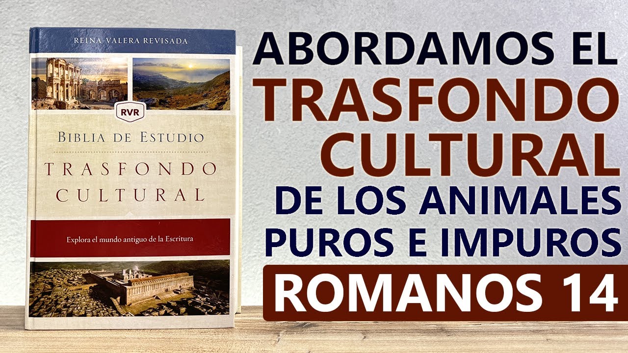 ¿Un Cristiano verdadero puede comer de TODO? explicado con la BIBLIA DE ESTUDIO TRASFONDO CULTURAL