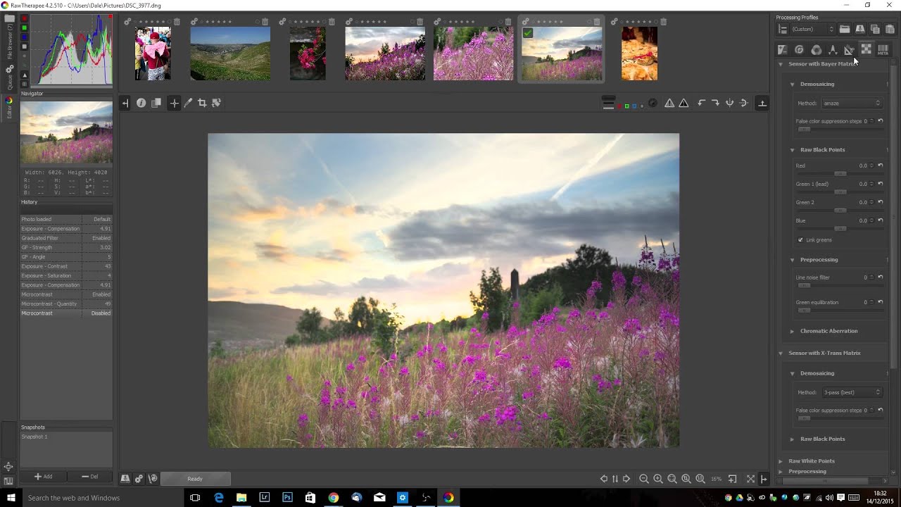 Raw Therapee Tutorial 1 _ Installation and Basics