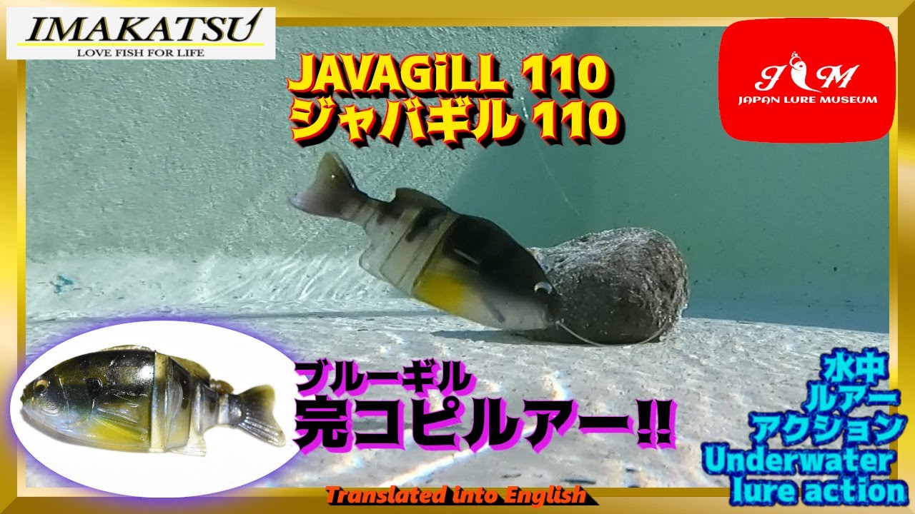 【水中動画】【JAVAGiLL 110】ギルを模したルアーでコイツを超えるルアーはあるか？　イマカツ　ジャバギル110　じゃばぎる
