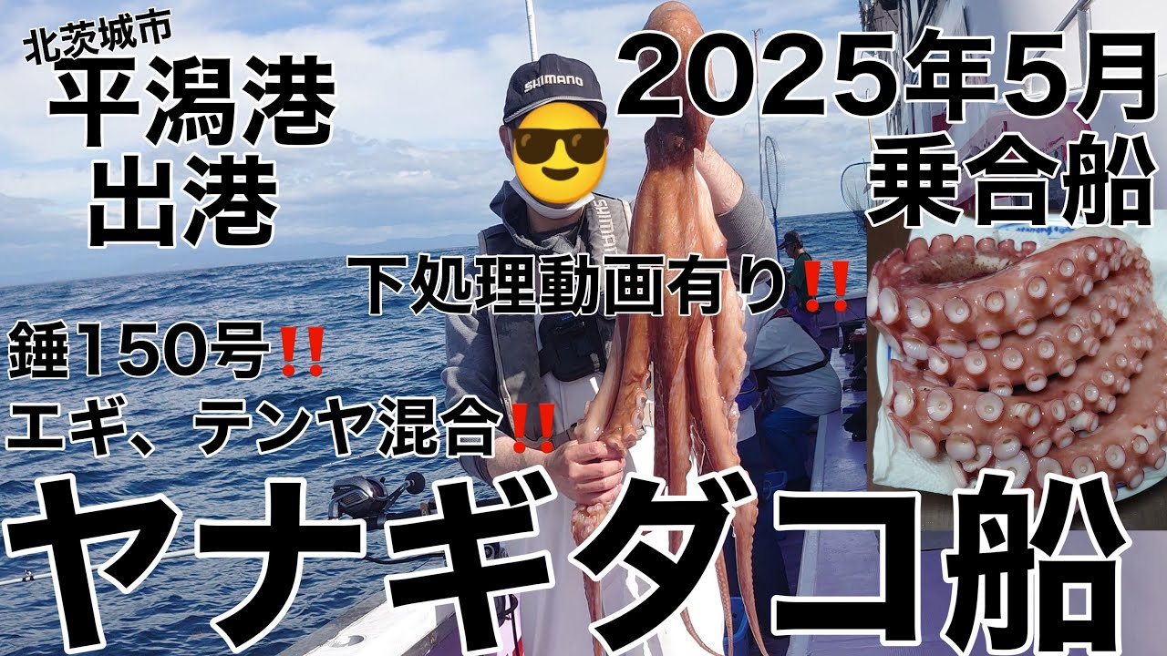 北茨城でヤナギダコ釣り‼️ ヤナギダコの下処理‼️6キロオーバーゲット‼️