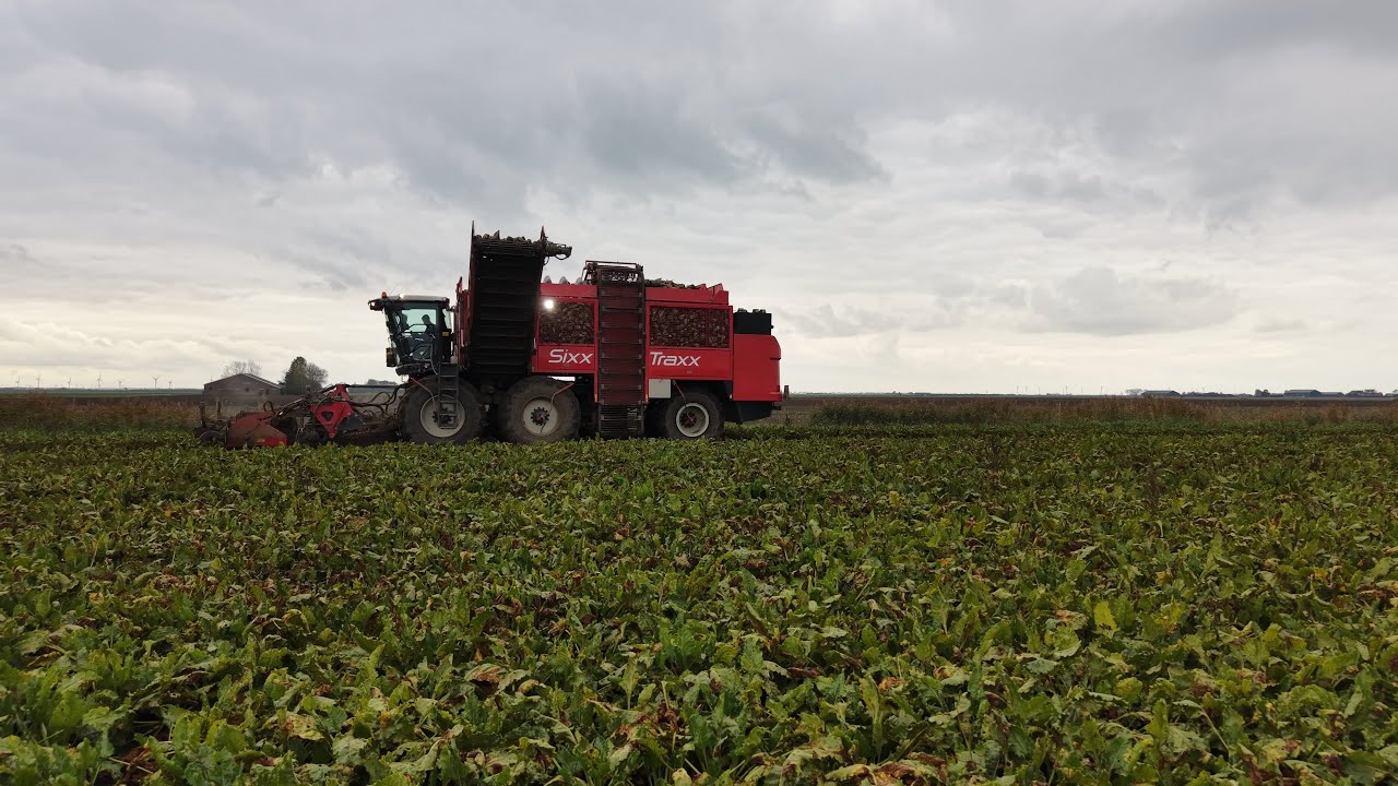 Bieten rooien met de Sixx Traxx 17-10-2025