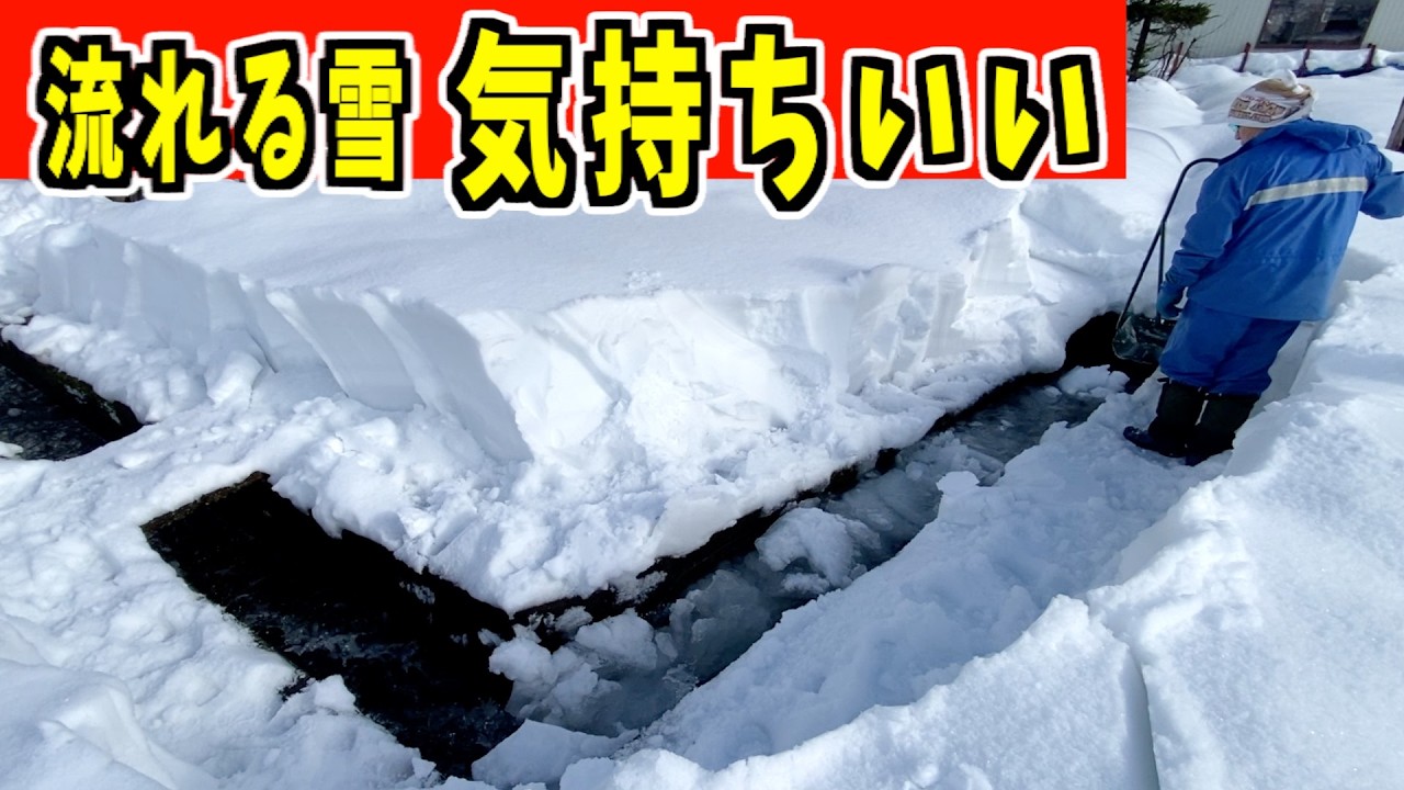 【ドボン】2025-01-03（金）水の音が気持ちいい！武七の除雪・雪かき日記　snow removal ASMR