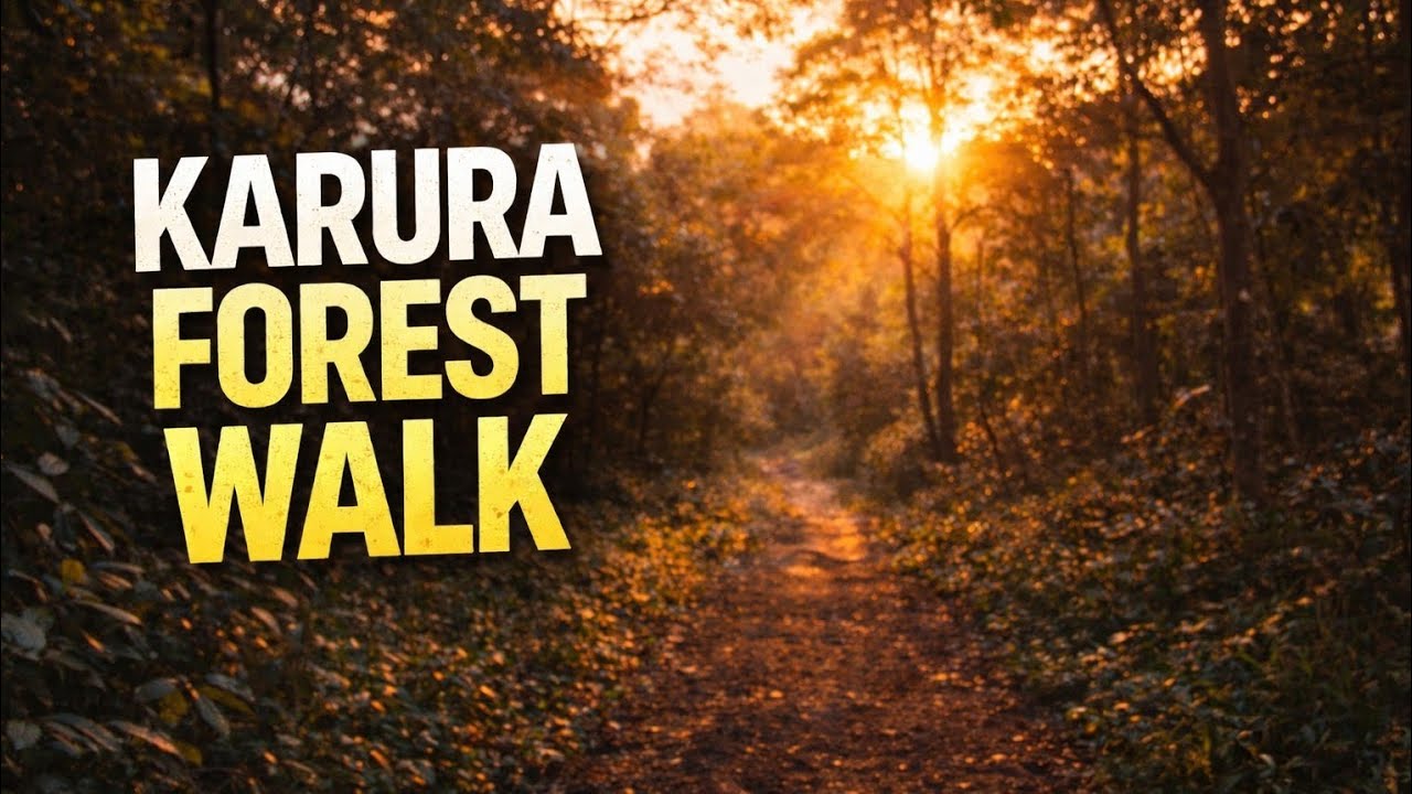 Golden Hour in Karura &mdash; A Quiet Walk Through the Forest | Cinematic Film