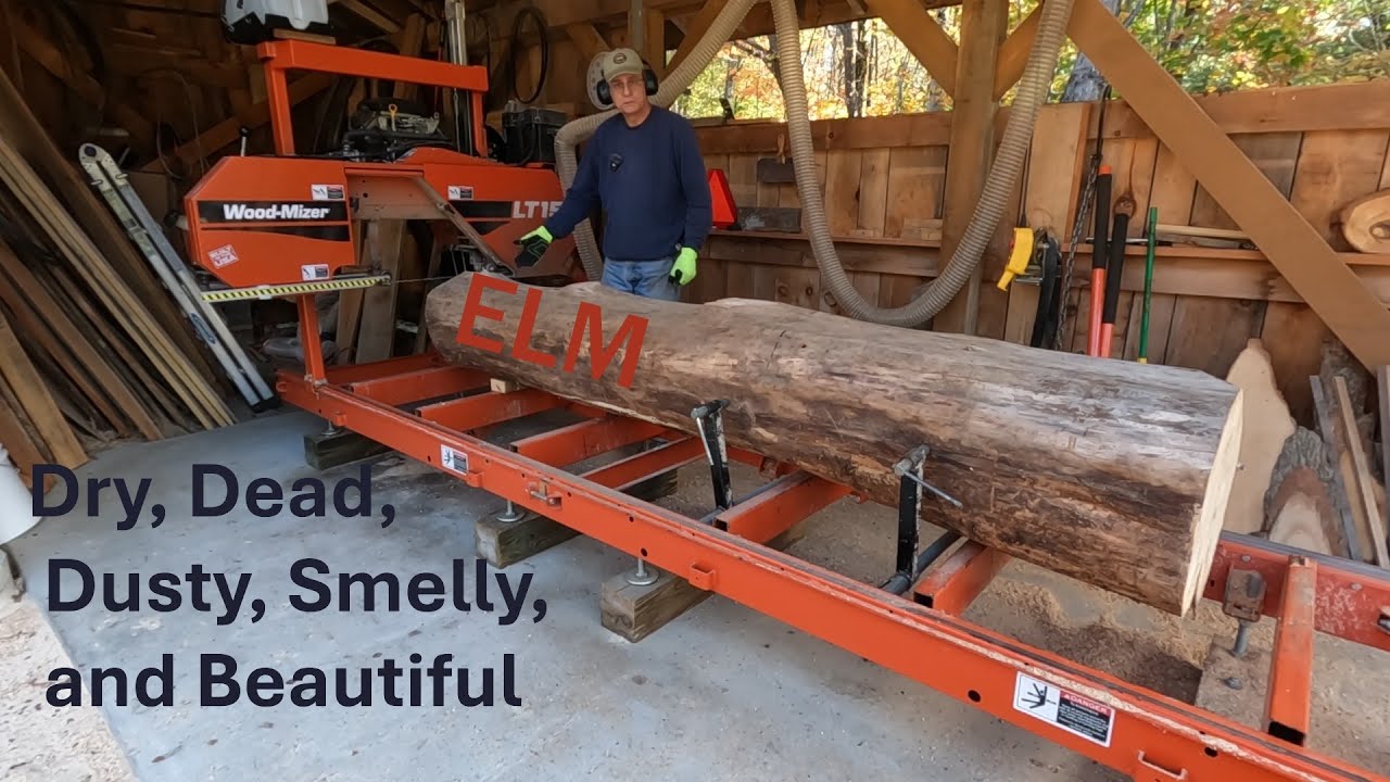Сухой пыльный вонючий вяз на Wood-Mizer LT15