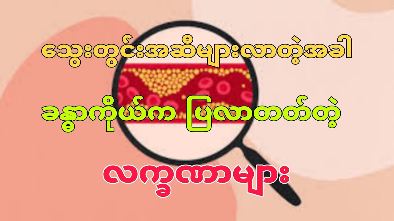 #သွေးတွင်းအဆီများလာတဲ့အခါ ခန္ဓာကိုယ်က ပြတတ်တဲ့ လက္ခဏာများ @ThuKhaPyaeSoneHealthknowledge