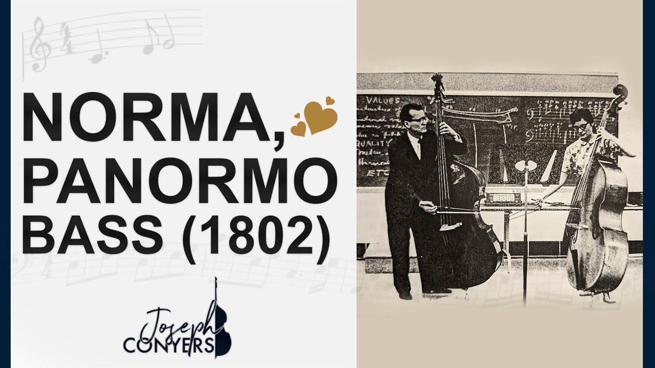 Zimmermann Bass is mine, 1802 Vincenzo Panormo double bass, 
