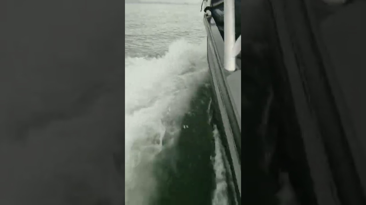 Stabicraft 2250.  Halibut fishing with the family.