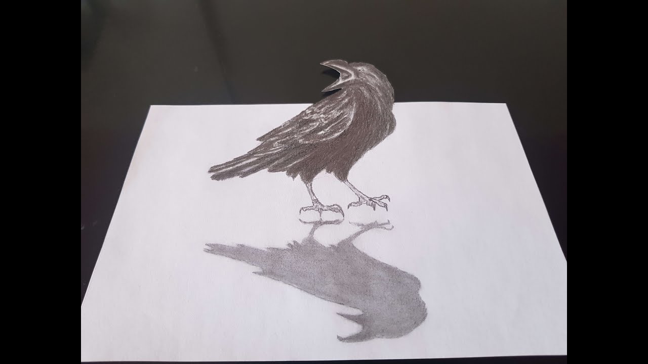 3B Karga Çizimi | How To Draw A 3D Crow?