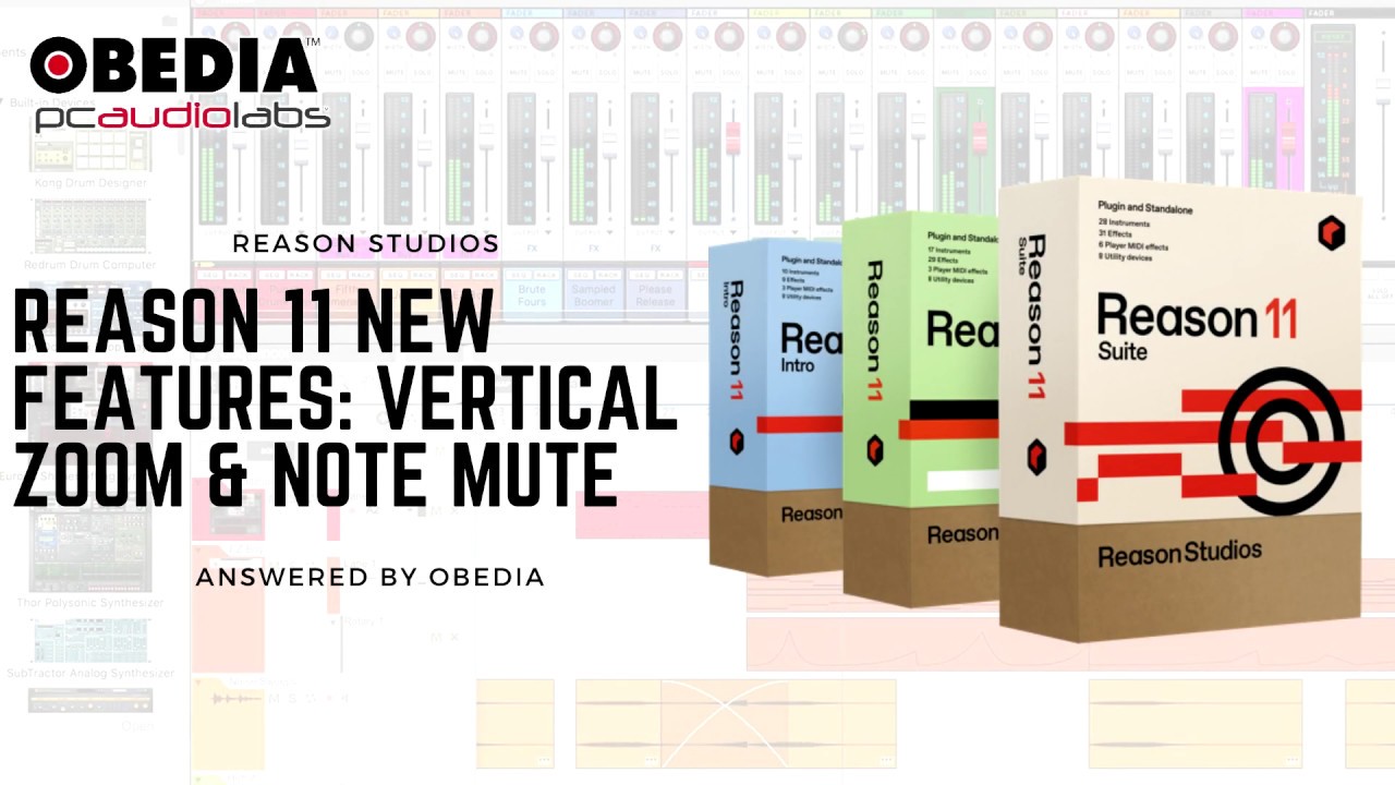 Reason 11 New Features: Vertical Zoom and Note Mute