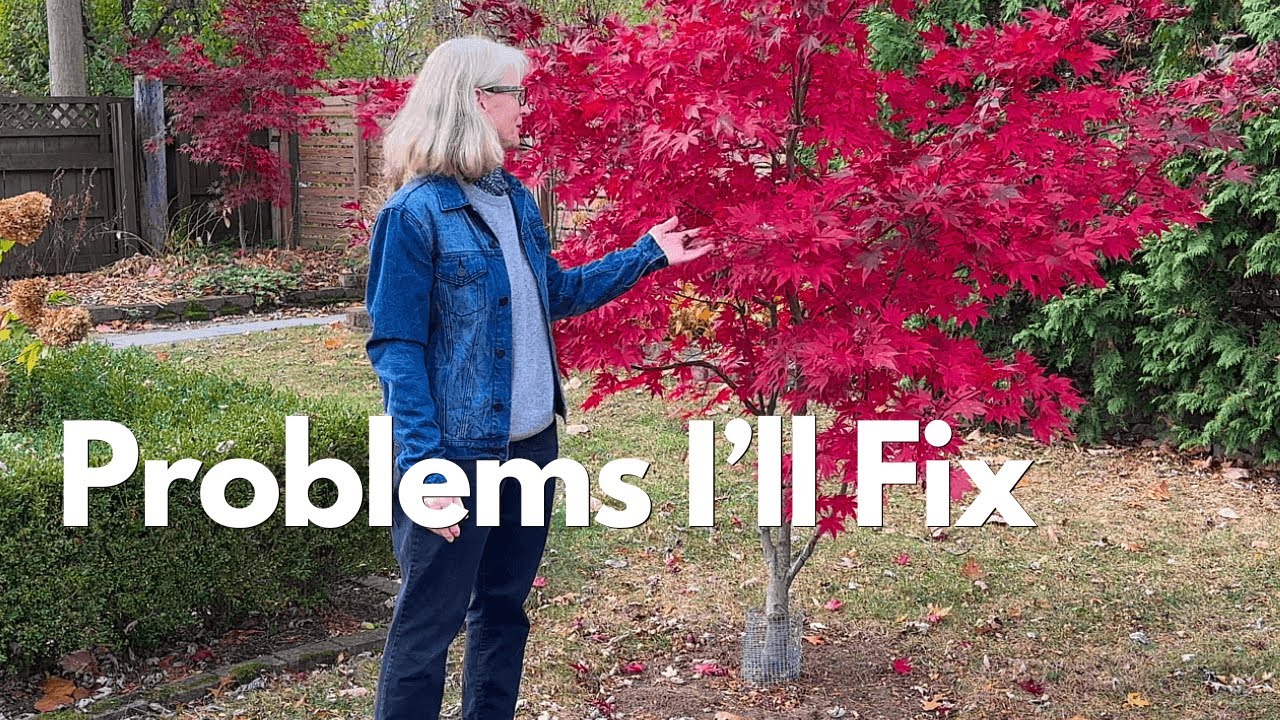 My Garden's Biggest Problems (and How I'll Fix Them in 2025)