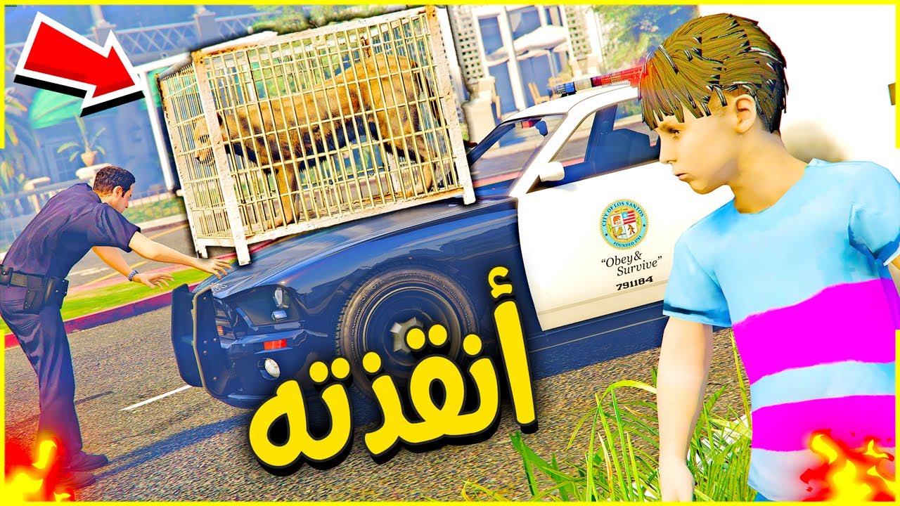 انقذت النمر العربي النادر 😎🔥 | فلم قراند