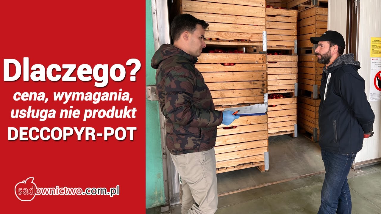Dlaczego DECCOPYR-POT ? Cena, wymagania, usługa nie sam produkt - PRAKTYCZNIE w Sad Rokicki