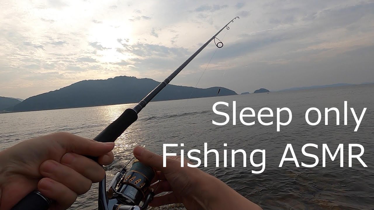 [ASMR]  Fishing ASMR Sleep Only  Quiet shore in the bay