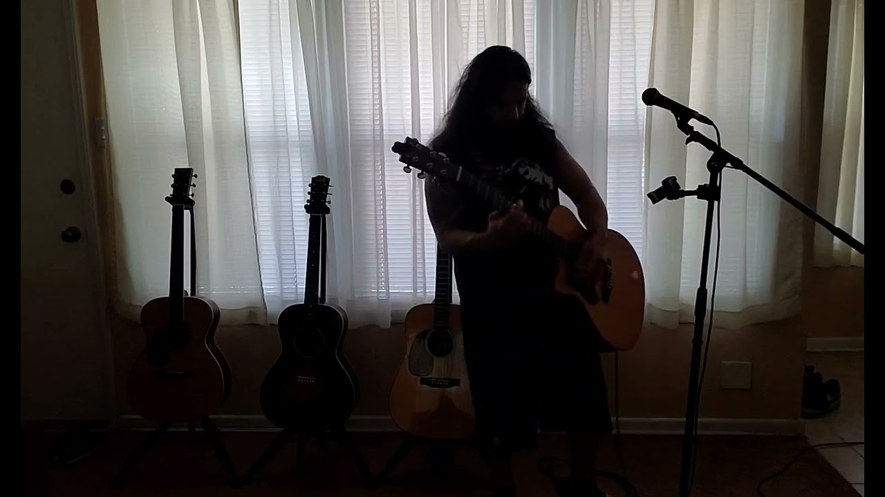 The Stooges - I Wanna Be Your Dog 🐕 acoustic cover