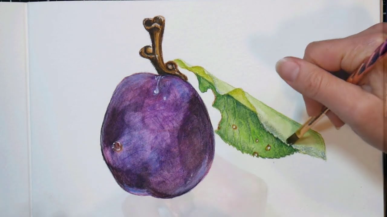 Watercolor Pencil Plum Tutorial