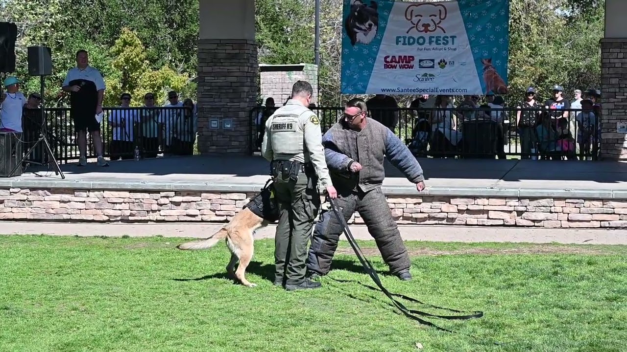San Diego County Sheriff K-9 Demonstration.