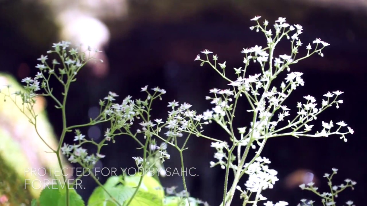 Moments in Nature - Gutches Creek