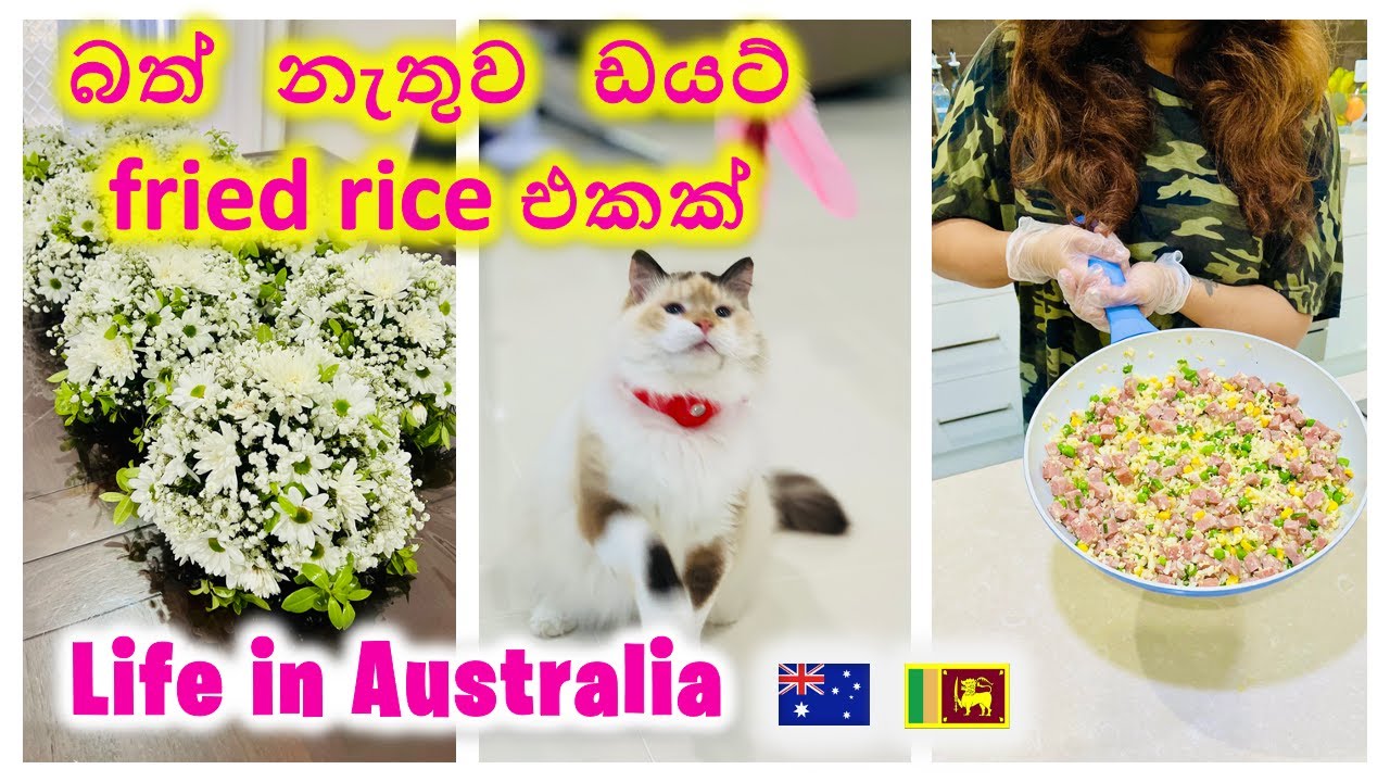 Busy සතිඅන්තයක් Vlog | Day in My Life | කඨින පූජාවට මල් | Meal Prep | Australia