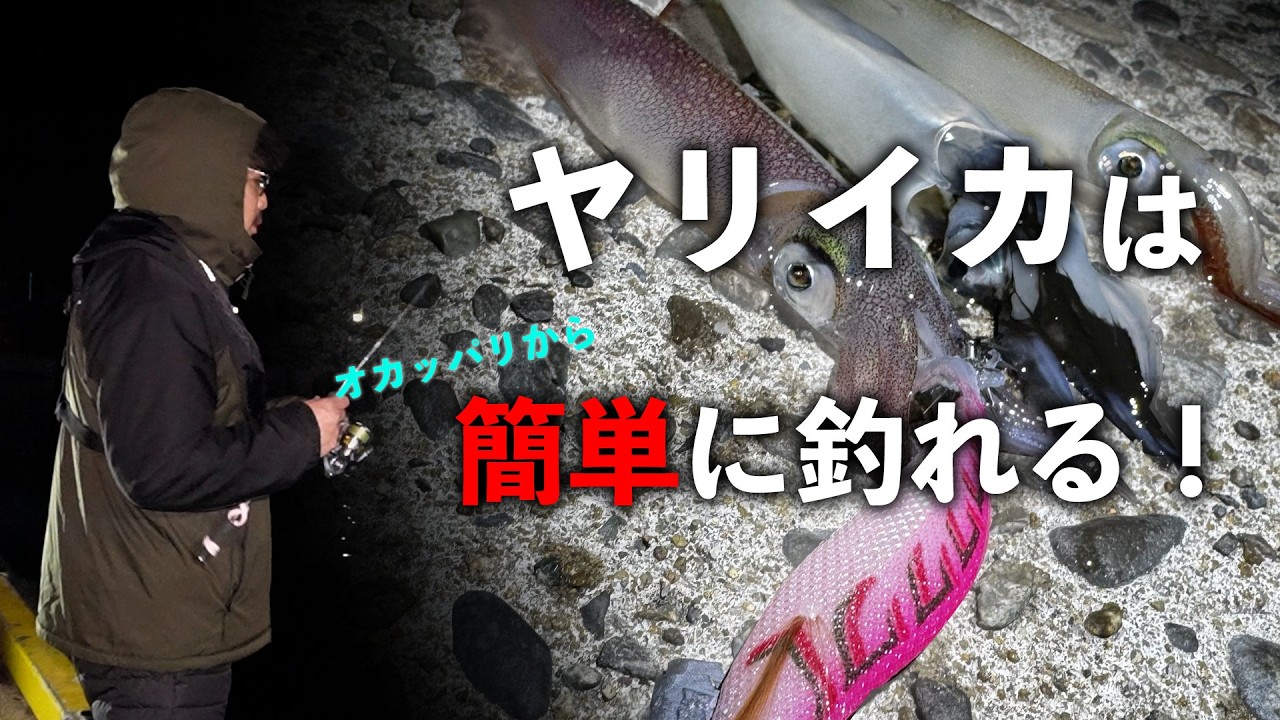 【ハウツー】ヤリイカをエギングで数釣るコツ【エンバーメイズ】